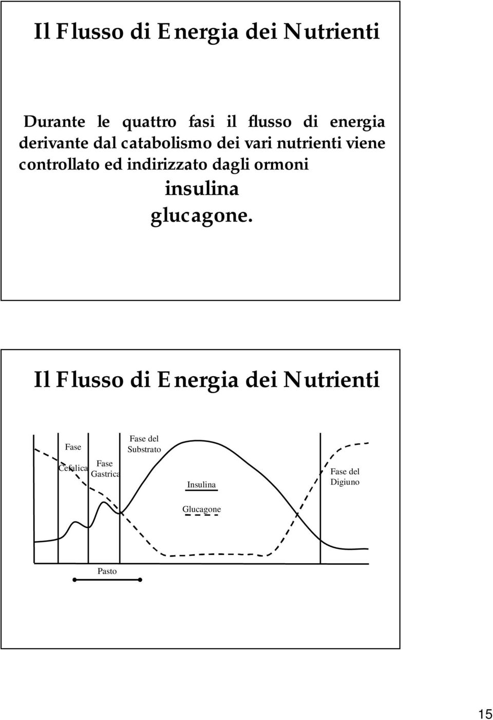 dagli ormoni insulina glucagone.