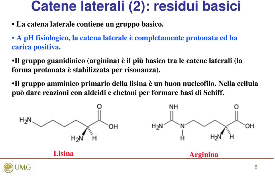 Il gruppo guanidinico (arginina) è il più basico tra le catene laterali (la forma protonata è stabilizzata per