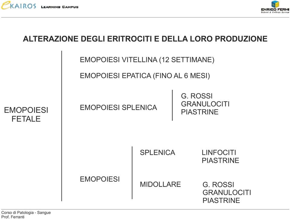 EMOPOIESI FETALE EMOPOIESI SPLENICA G.