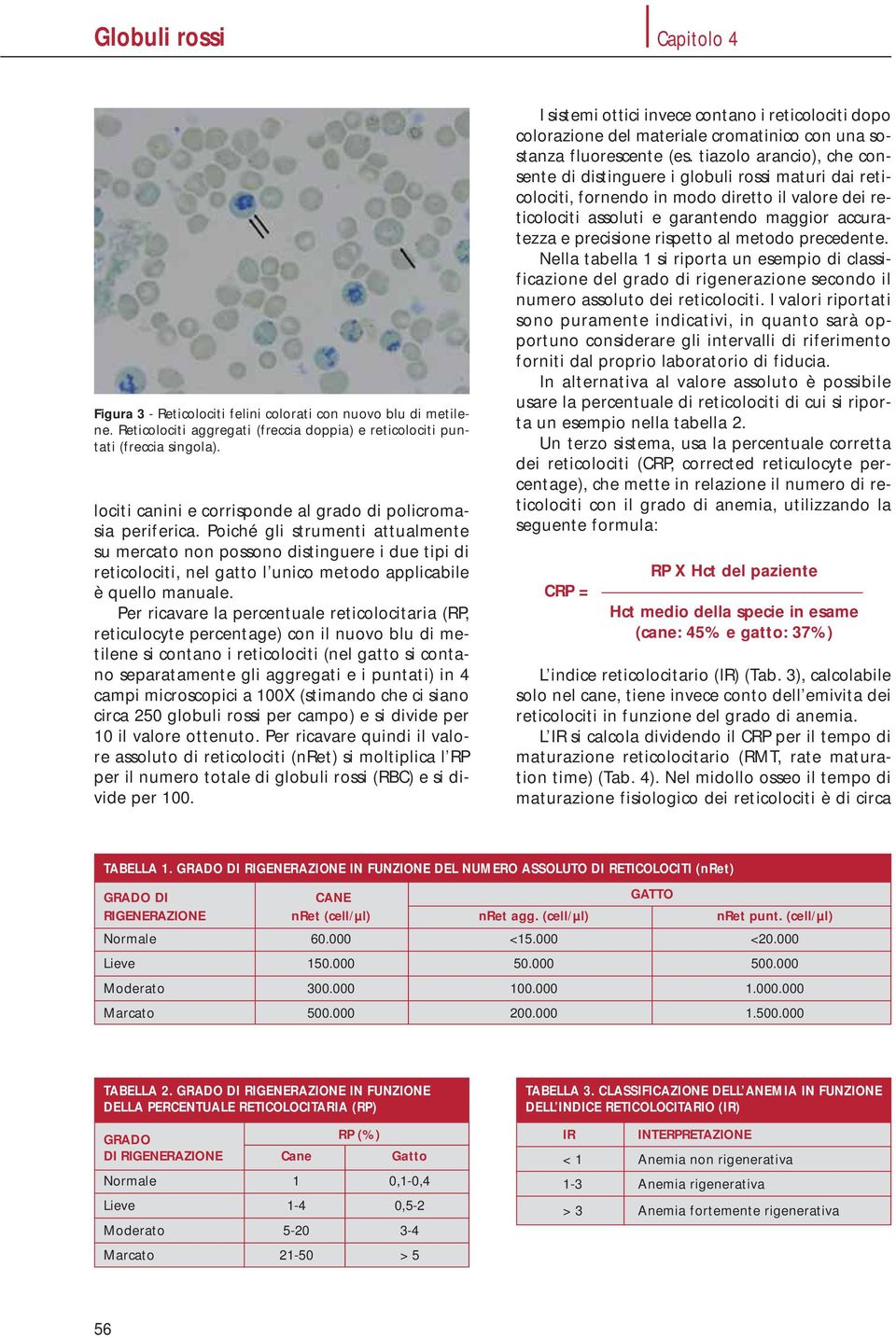 Poiché gli strumenti attualmente su mercato non possono distinguere i due tipi di reticolociti, nel gatto l unico metodo applicabile è quello manuale.