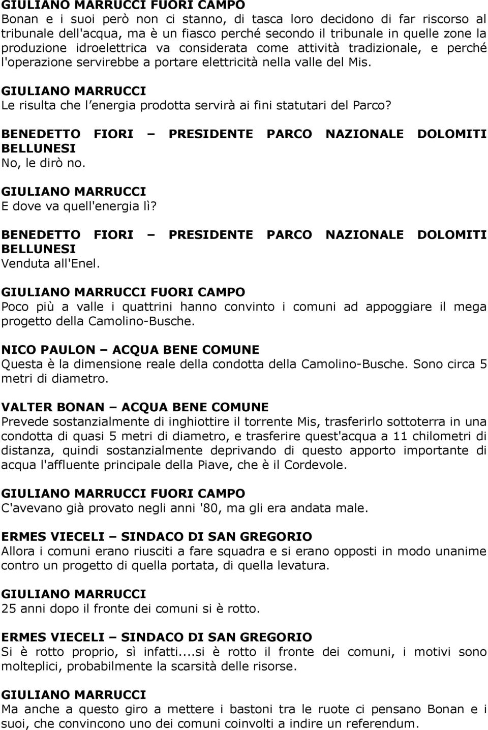 BENEDETTO FIORI PRESIDENTE PARCO NAZIONALE DOLOMITI BELLUNESI No, le dirò no. E dove va quell'energia lì? BENEDETTO FIORI PRESIDENTE PARCO NAZIONALE DOLOMITI BELLUNESI Venduta all'enel.