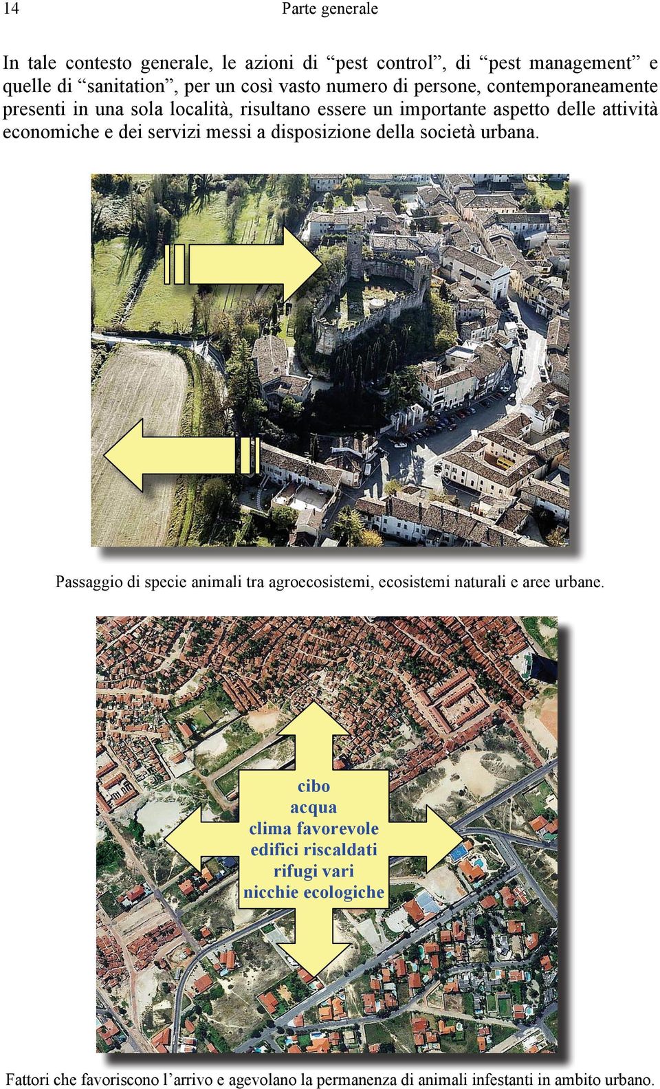 disposizione della società urbana. Passaggio di specie animali tra agroecosistemi, ecosistemi naturali e aree urbane.