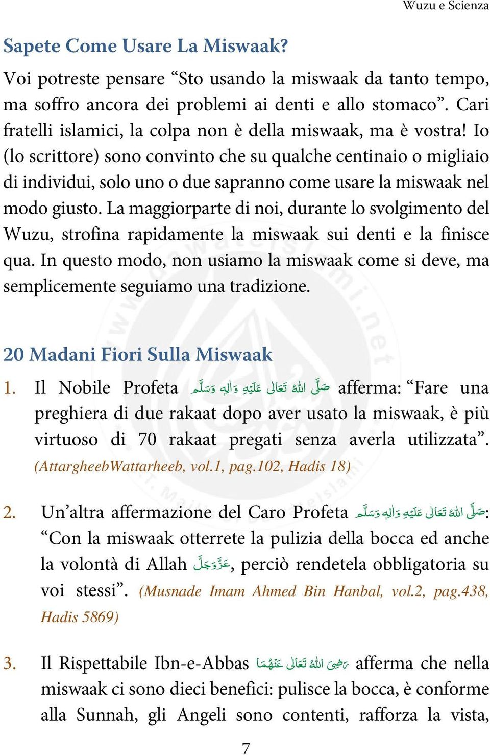 Io (lo scrittore) sono convinto che su qualche centinaio o migliaio di individui, solo uno o due sapranno come usare la miswaak nel modo giusto.