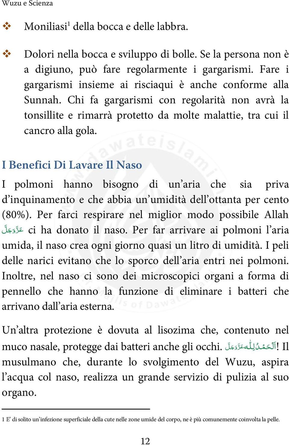 I Benefici Di Lavare Il Naso I polmoni hanno bisogno di un aria che sia priva d inquinamento e che abbia un umidità dell ottanta per cento (80%).