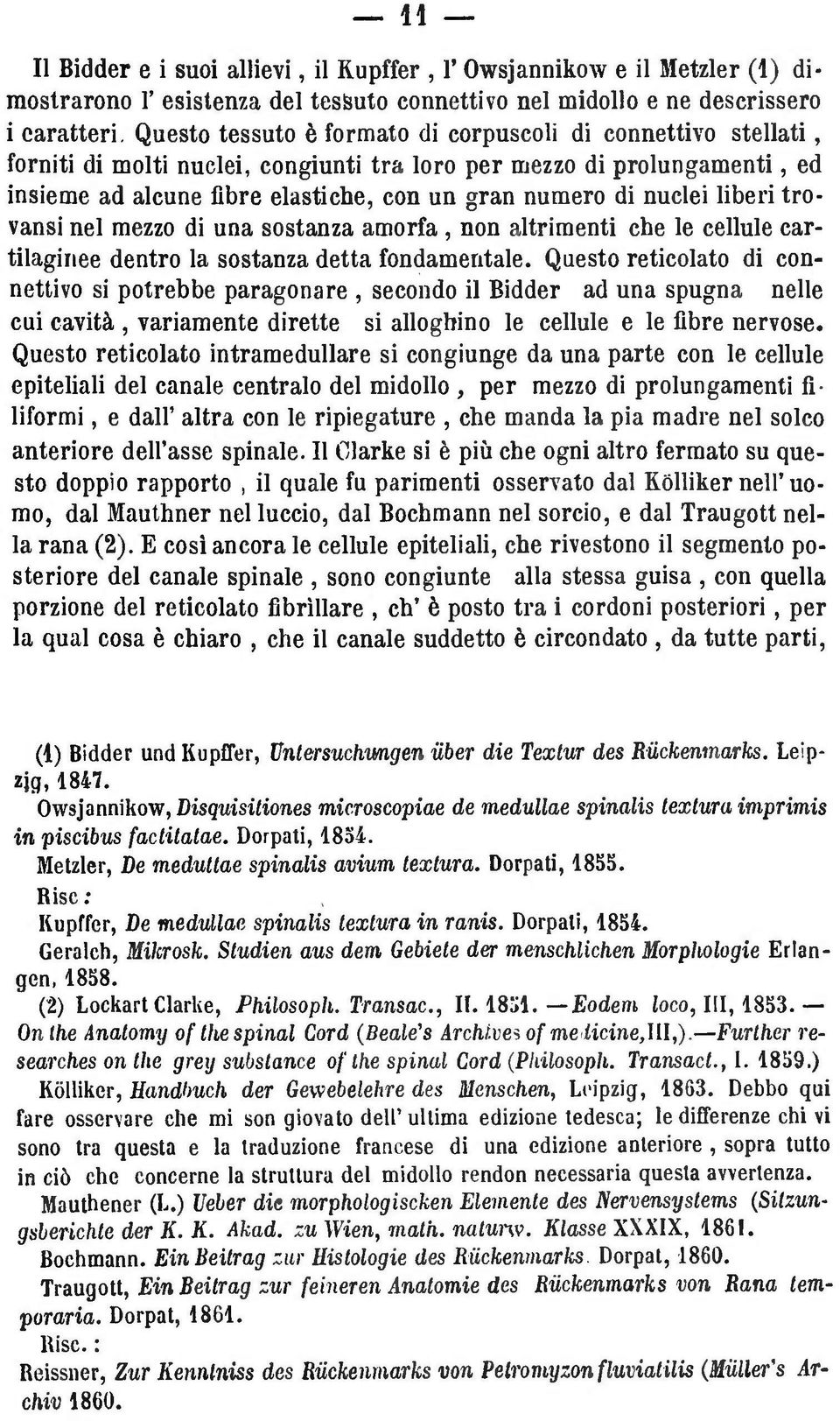 nuclei liberi trovansi nel mezzo di una sostanza amorfa, non altrimenti che le cellule cartilaginee dentro la sostanza detta fondamentale.