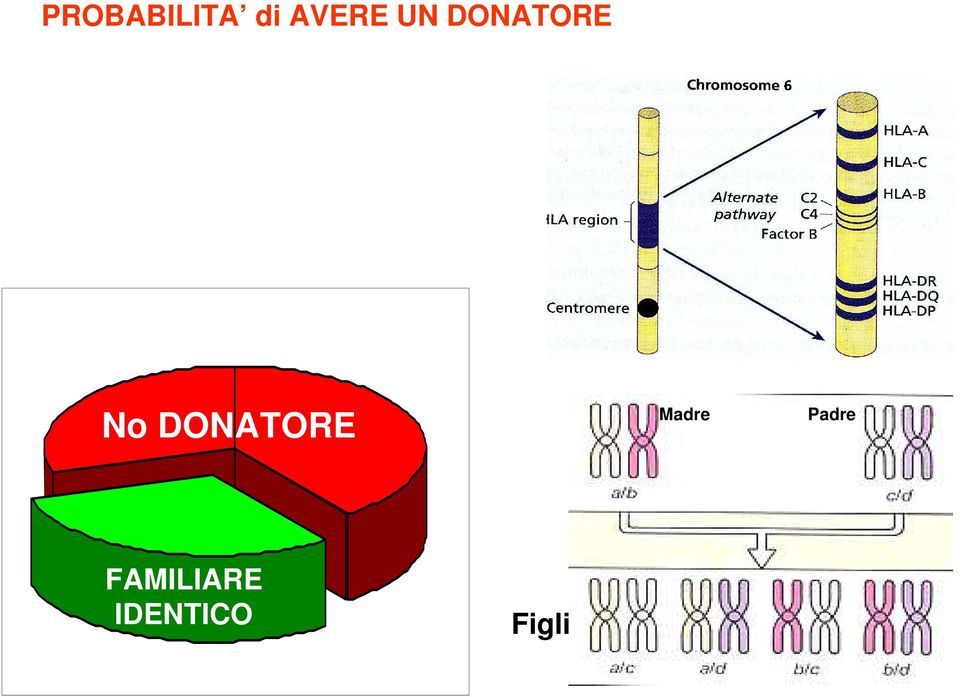 DONATORE Madre Padre