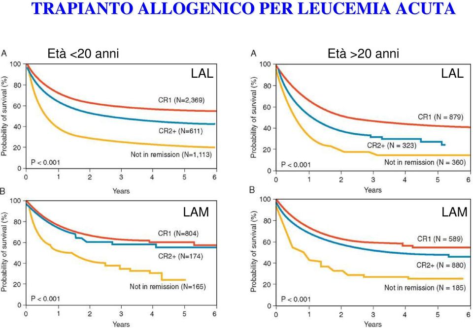 >20 anni LAL ALL, age 20 years LAM AML,