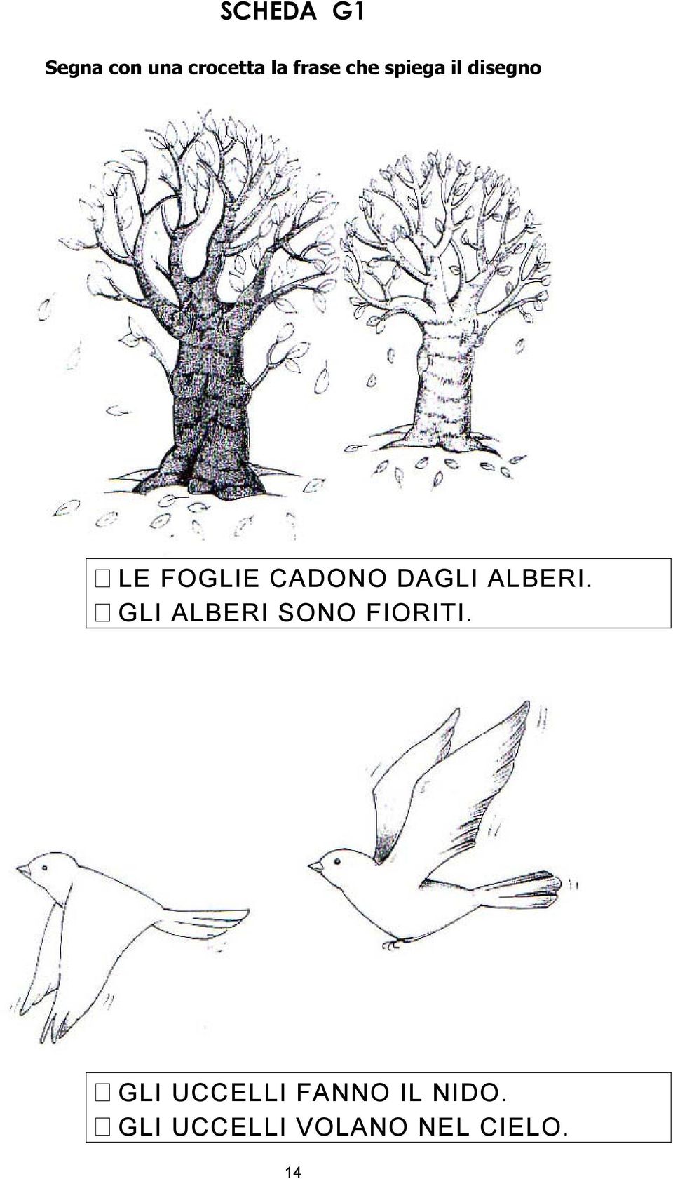 ALBERI. GLI ALBERI SONO FIORITI.