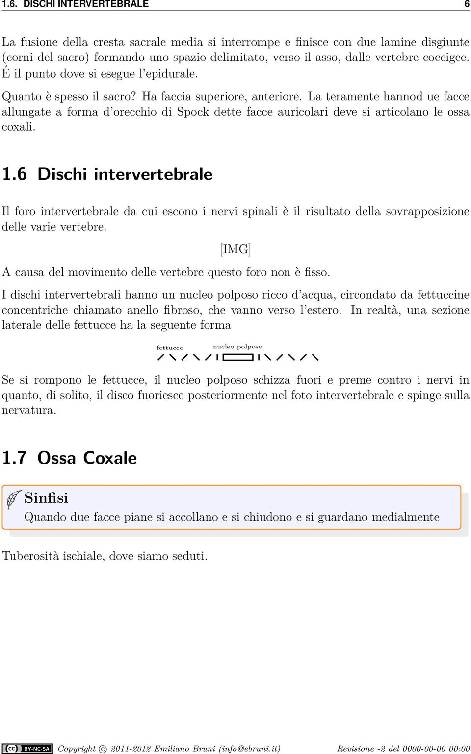 La teramente hannod ue facce allungate a forma d orecchio di Spock dette facce auricolari deve si articolano le ossa coxali.