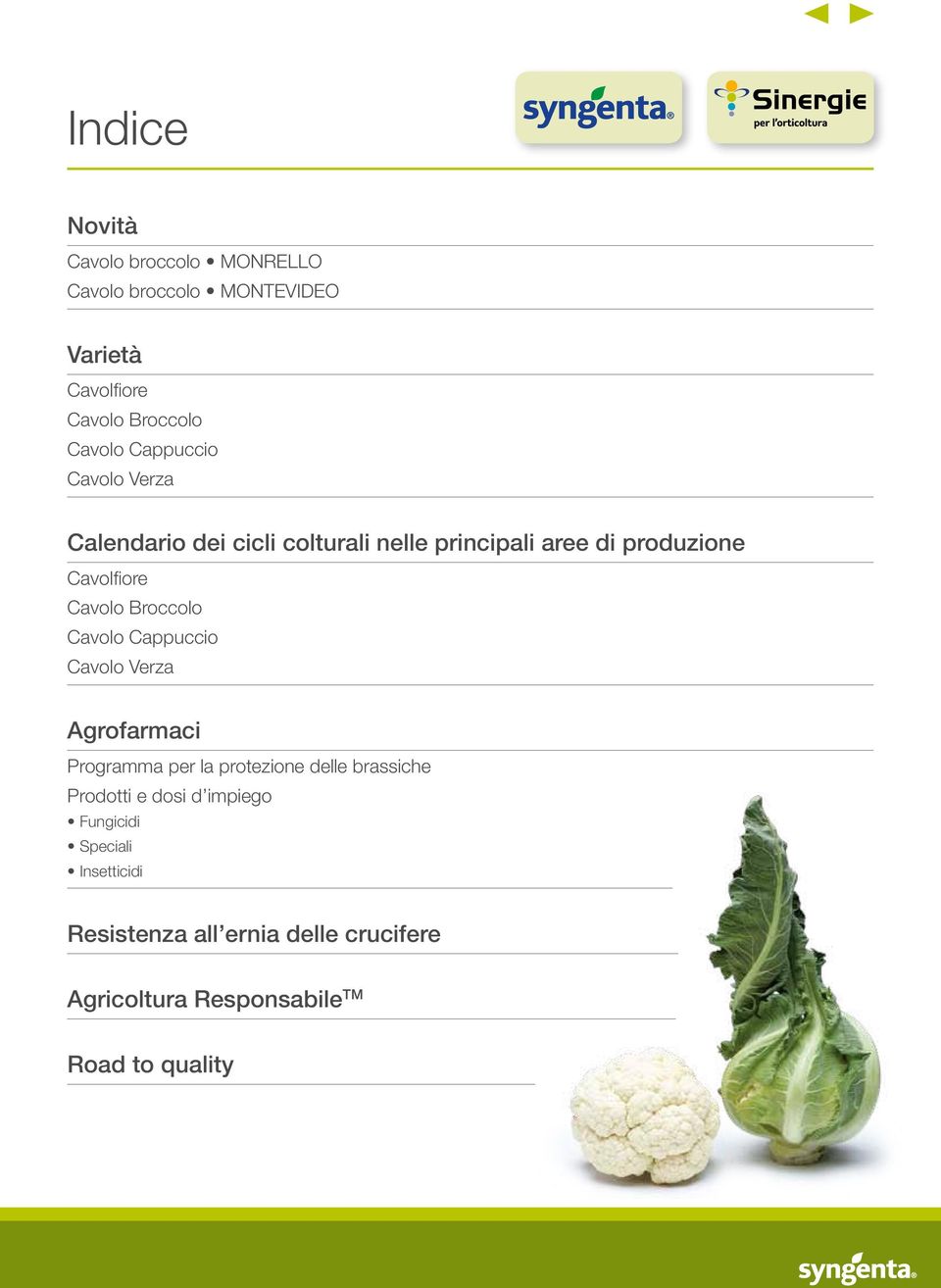 Broccolo Cavolo Cappuccio Cavolo Verza Agrofarmaci Programma per la protezione delle brassiche Prodotti e dosi