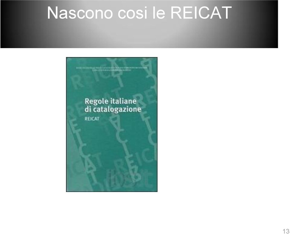 REICAT 13