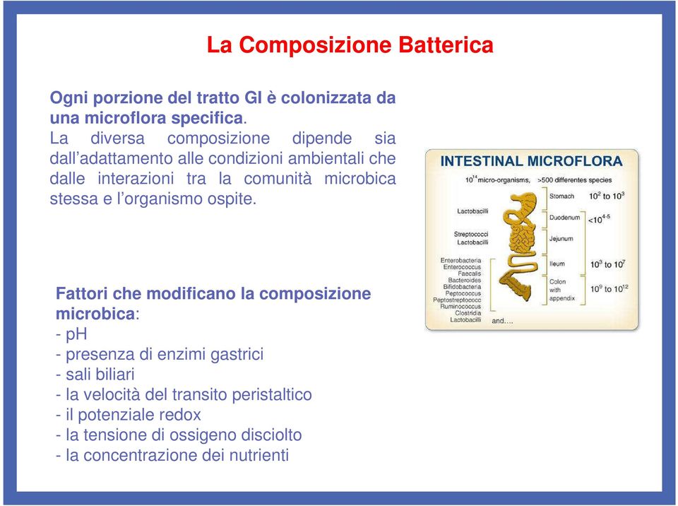 microbica stessa e l organismo ospite.