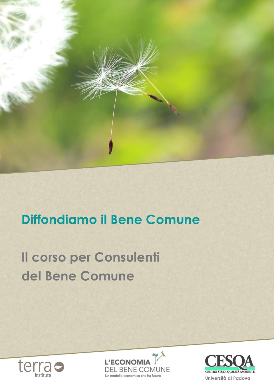 Consulenti del Bene