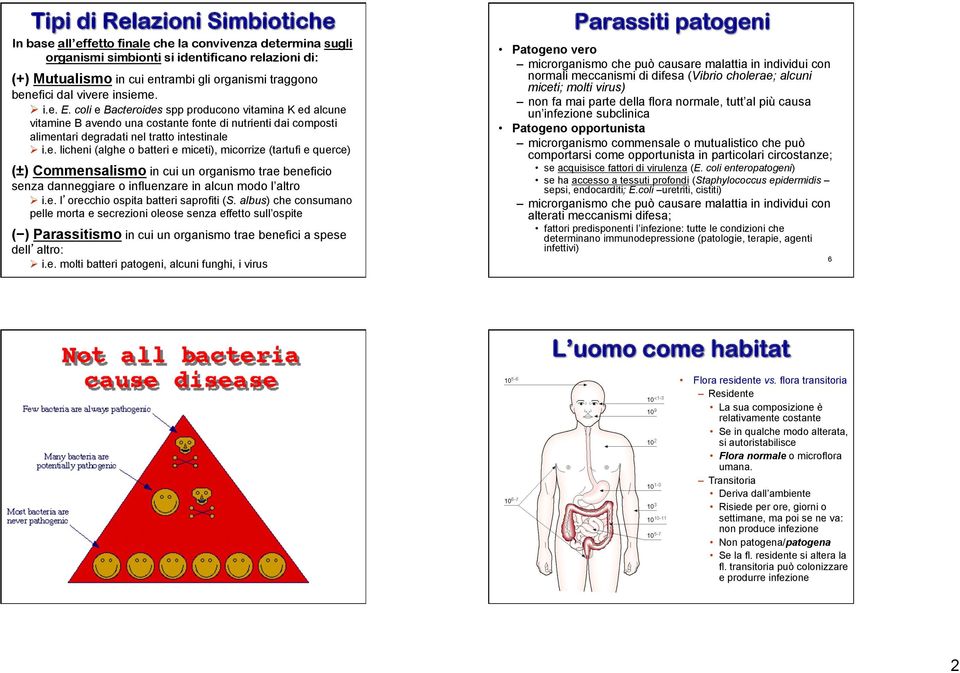 coli e Bacteroides spp producono vitamina K ed alcune vitamine B avendo una costante fonte di nutrienti dai composti alimentari degradati nel tratto intestinale Ø i.e. licheni (alghe o batteri e miceti), micorrize (tartufi e querce) (±) Commensalismo in cui un organismo trae beneficio senza danneggiare o influenzare in alcun modo l altro Ø i.