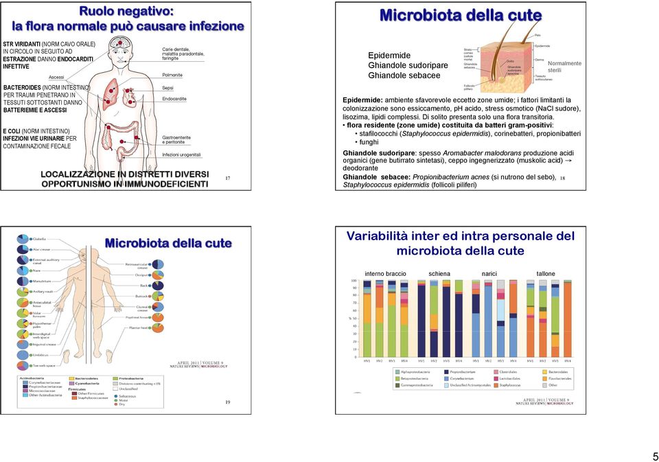 umide; i fattori limitanti la colonizzazione sono essiccamento, ph acido, stress osmotico (NaCl sudore), lisozima, lipidi complessi. Di solito presenta solo una flora transitoria.