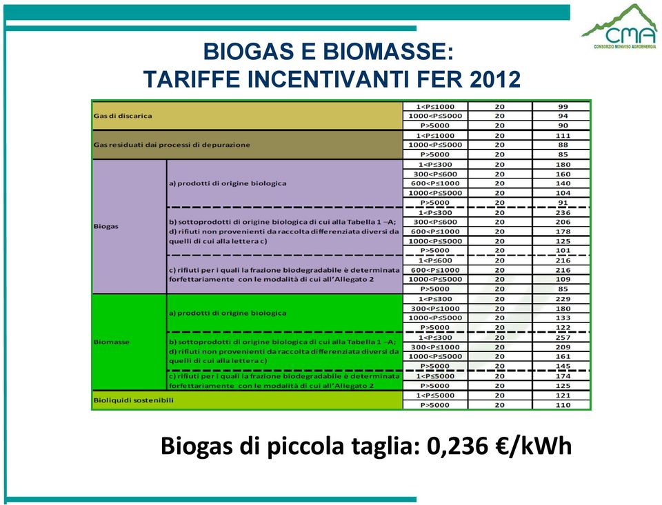 FER 2012 Biogas di