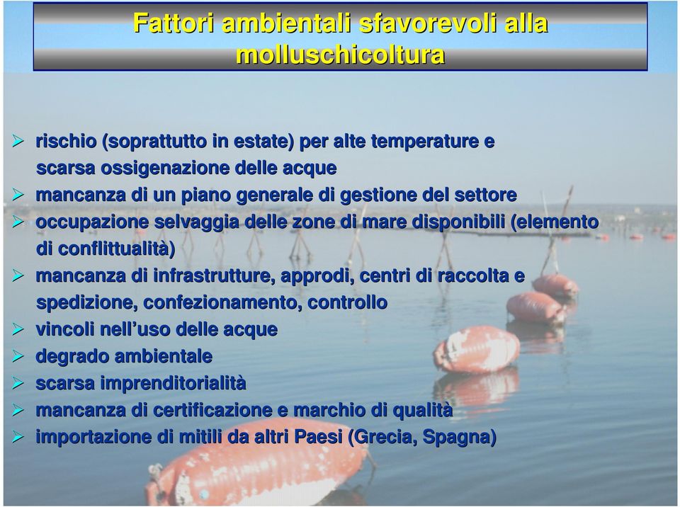 conflittualità) mancanza di infrastrutture, approdi, centri di raccolta e spedizione, confezionamento,, controllo vincoli nell uso delle