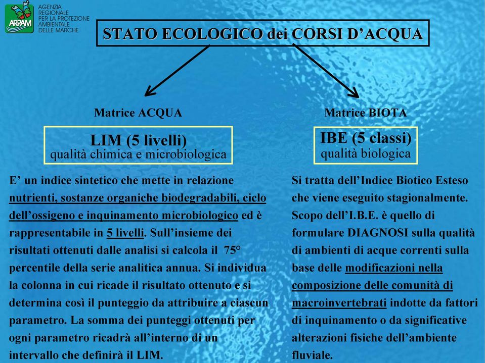 Si individua la colonna in cui ricade il risultato ottenuto e si determina così il punteggio da attribuire a ciascun parametro.