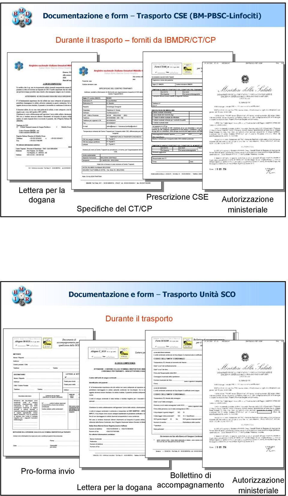 ministeriale Documentazione e form Trasporto Unità SCO Durante il trasporto Pro-forma