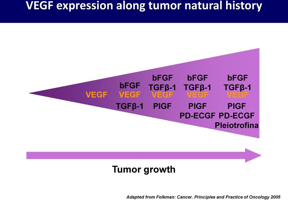 PIGF PIGF PIGF PD-ECGF PD-ECGF Pleiotrofina Tumor growth