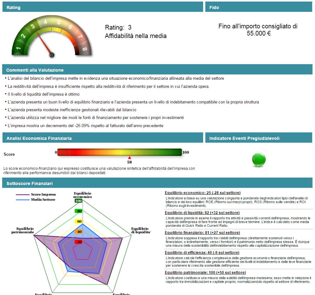 Focus: Ribes Rating 11 Rating Fido commerciale consigliato Principali drivers di valutazione Score