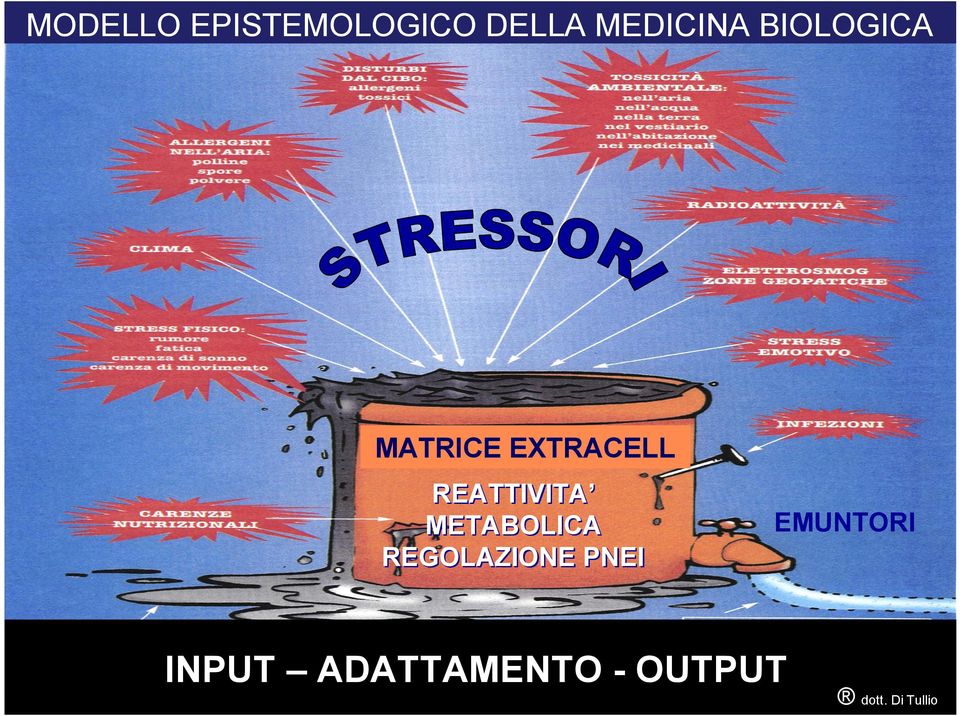 EXTRACELL REATTIVITA METABOLICA