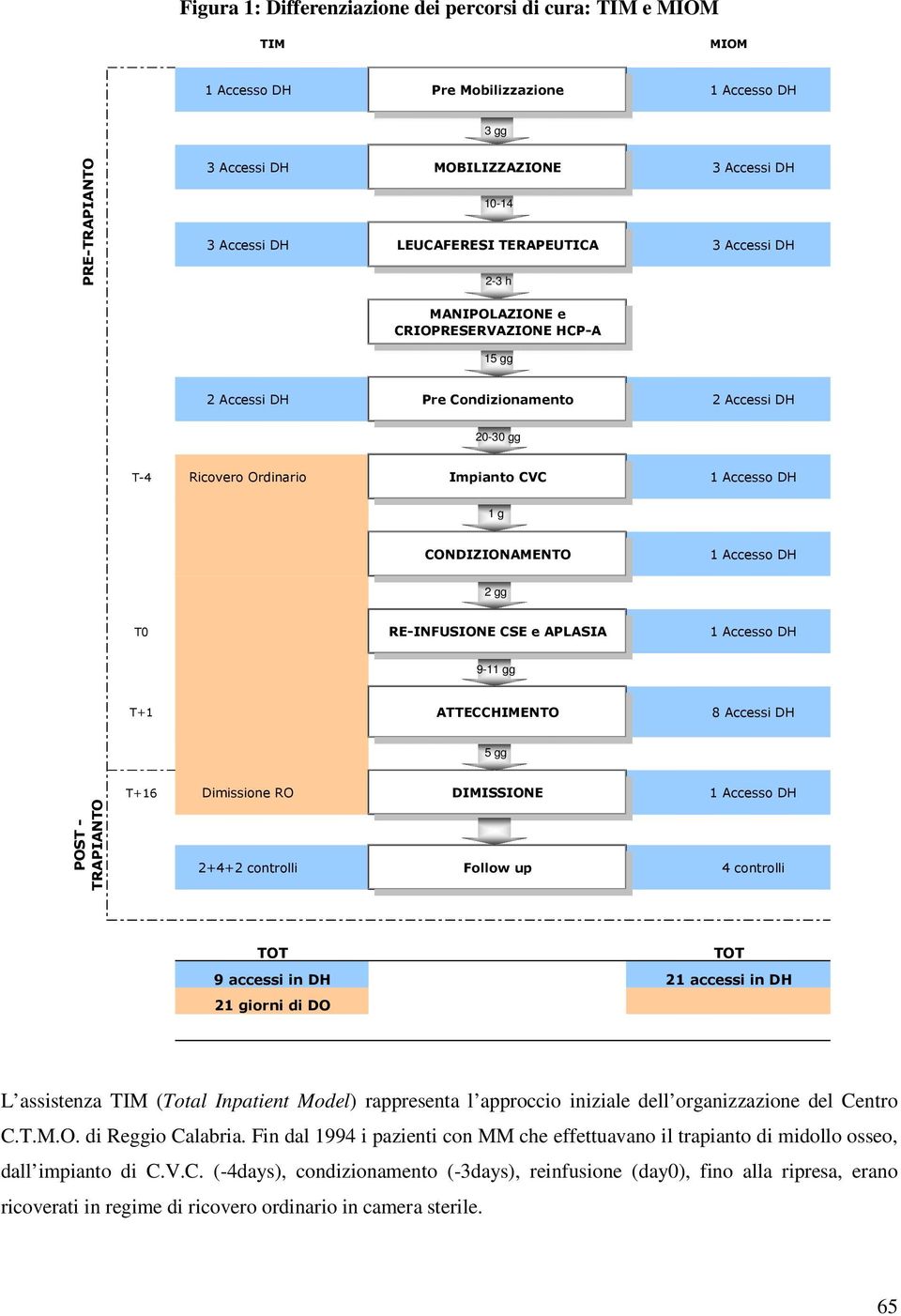 CONDIZIONAMENTO 1 Accesso DH 2 gg T0 RE-INFUSIONE CSE e APLASIA 1 Accesso DH 9-11 gg T+1 ATTECCHIMENTO 8 Accessi DH 5 gg T+16 Dimissione RO DIMISSIONE 1 Accesso DH POST - TRAPIANTO 2+4+2 controlli