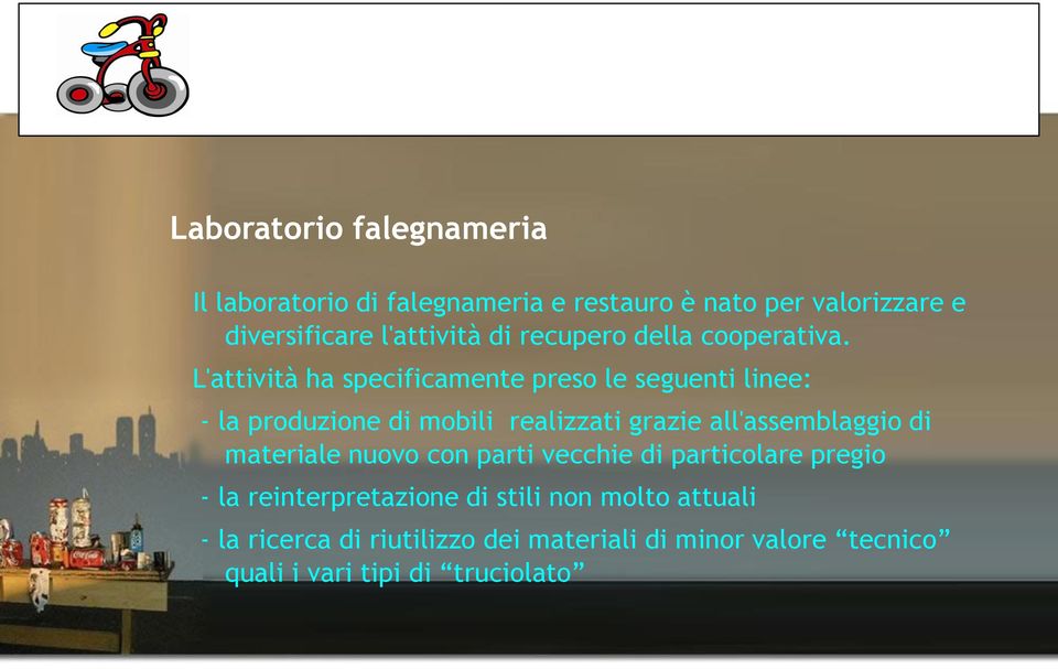 L'attività ha specificamente preso le seguenti linee: - la produzione di mobili realizzati grazie all'assemblaggio