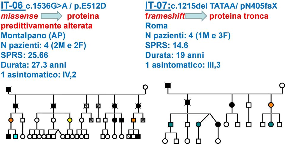 pazienti: 4 (2M e 2F) SPRS: 25.66 Durata: 27.