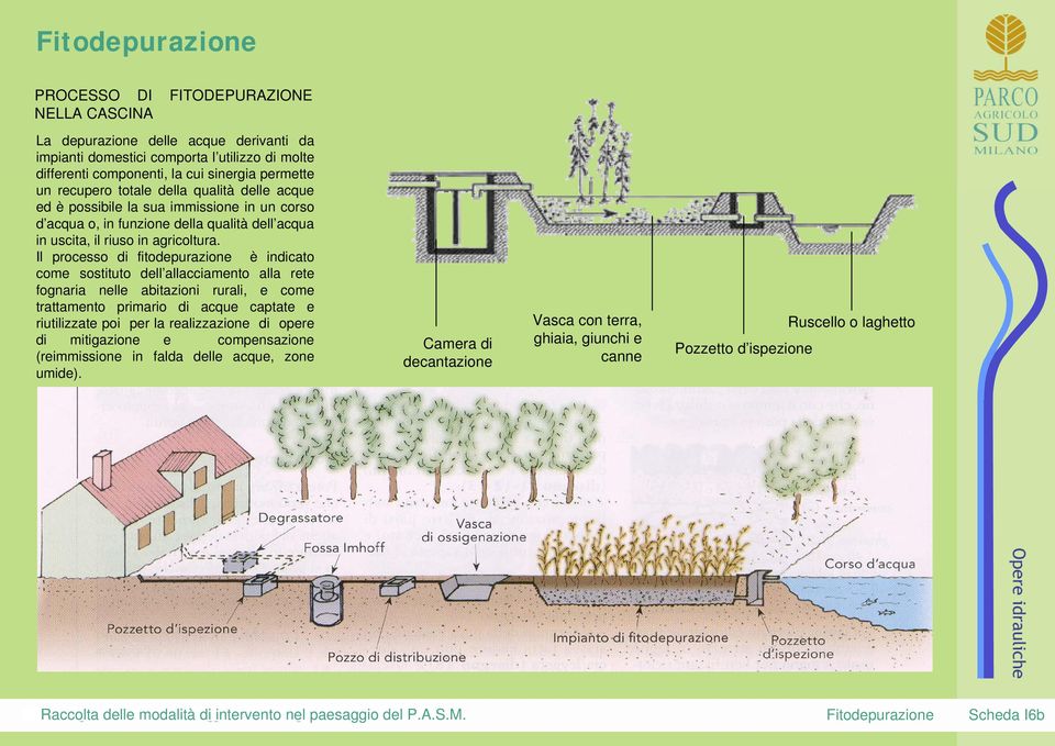 Il processo di fitodepurazione è indicato come sostituto dell allacciamento alla rete fognaria nelle abitazioni rurali, e come trattamento primario di acque captate e riutilizzate poi per la