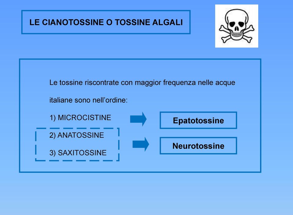 italiane sono nell ordine: 1) MICROCISTINE 2)