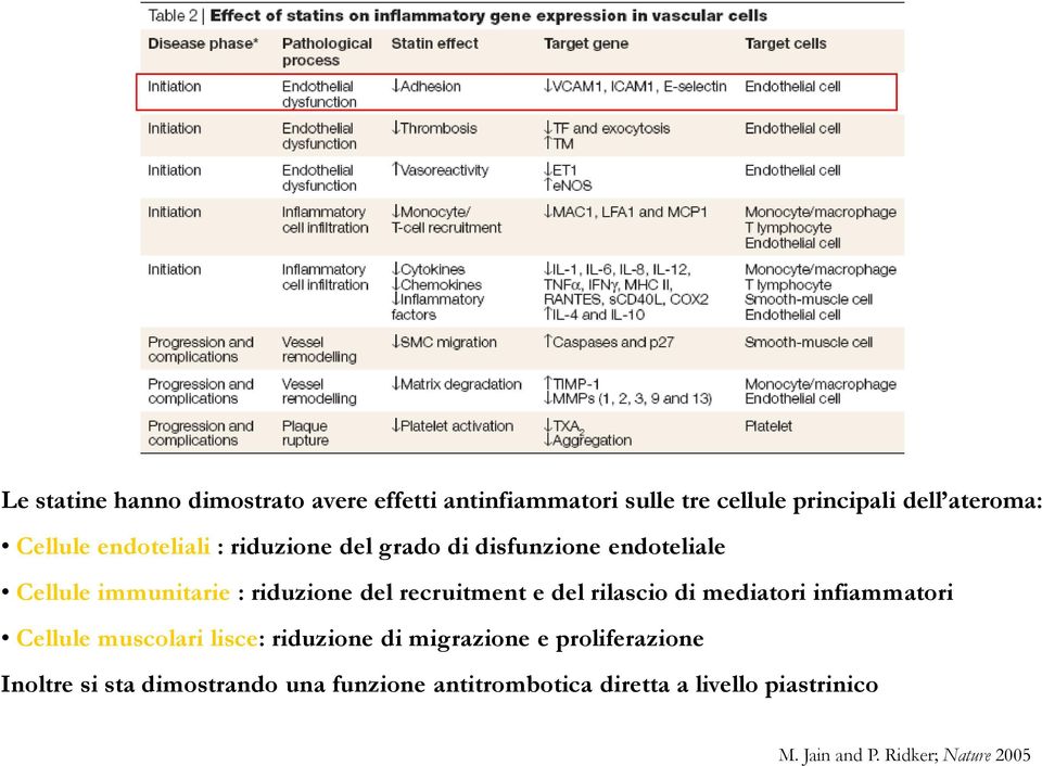 del rilascio di mediatori infiammatori Cellule muscolari lisce: riduzione di migrazione e proliferazione