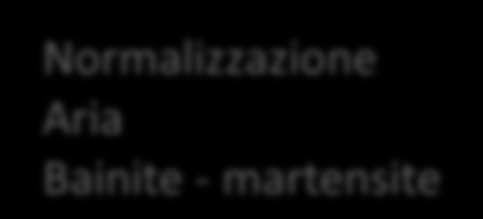 la maggior parte dei trattamenti termici prevede un riscaldamento in campo austenitico, cioè a T > A c3