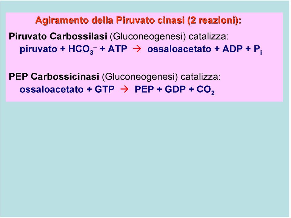 3- + ATP ossaloacetato + ADP + P i PEP Carbossicinasi