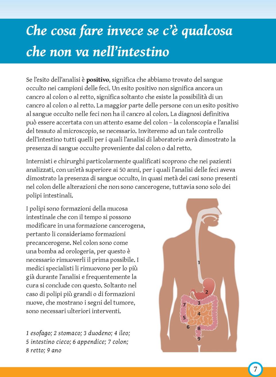 La maggior parte delle persone con un esito positivo al sangue occulto nelle feci non ha il cancro al colon.