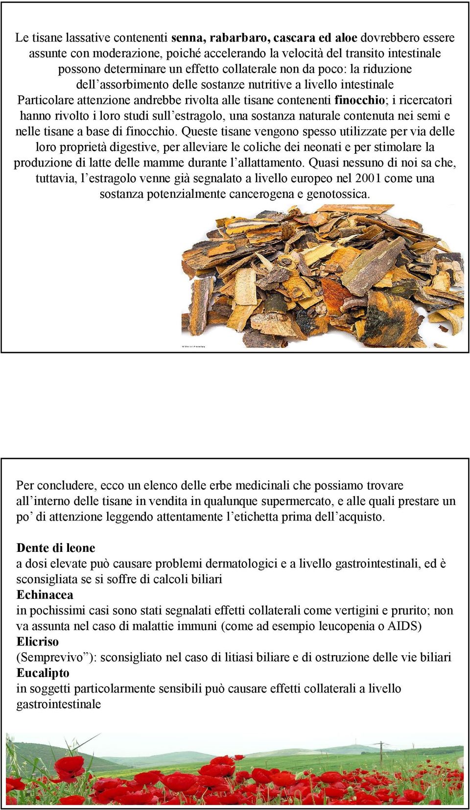 rivolto i loro studi sull estragolo, una sostanza naturale contenuta nei semi e nelle tisane a base di finocchio.