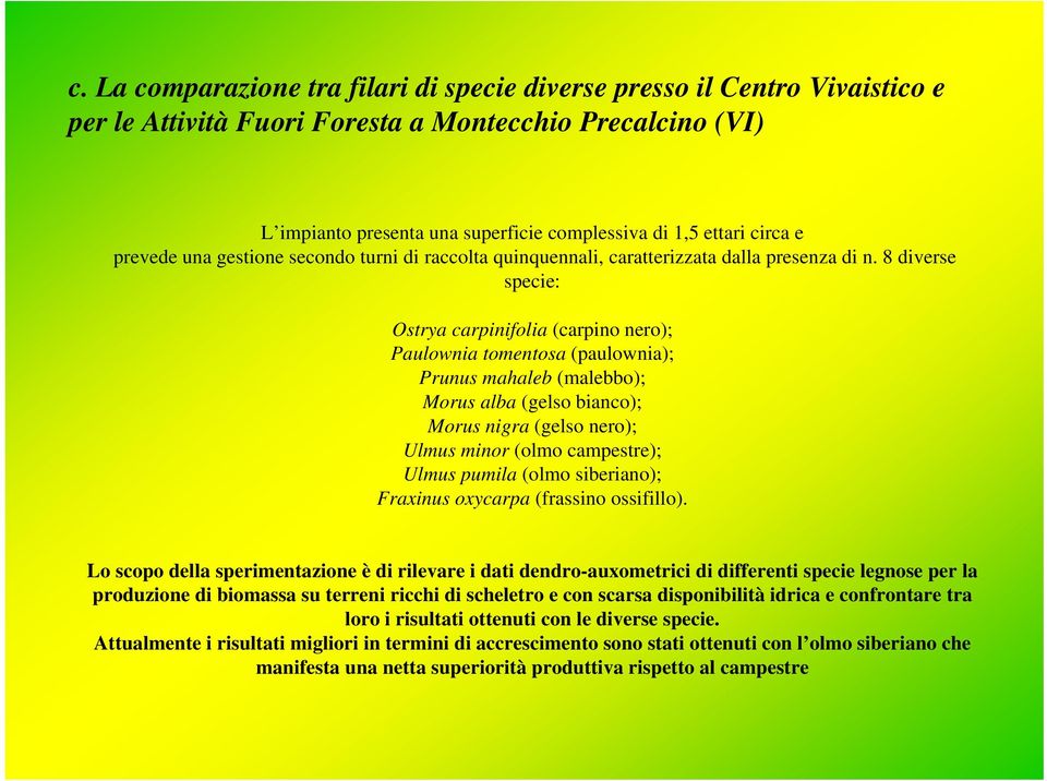 8 diverse specie: Ostrya carpinifolia (carpino nero); Paulownia tomentosa (paulownia); Prunus mahaleb (malebbo); Morus alba (gelso bianco); Morus nigra (gelso nero); Ulmus minor (olmo campestre);