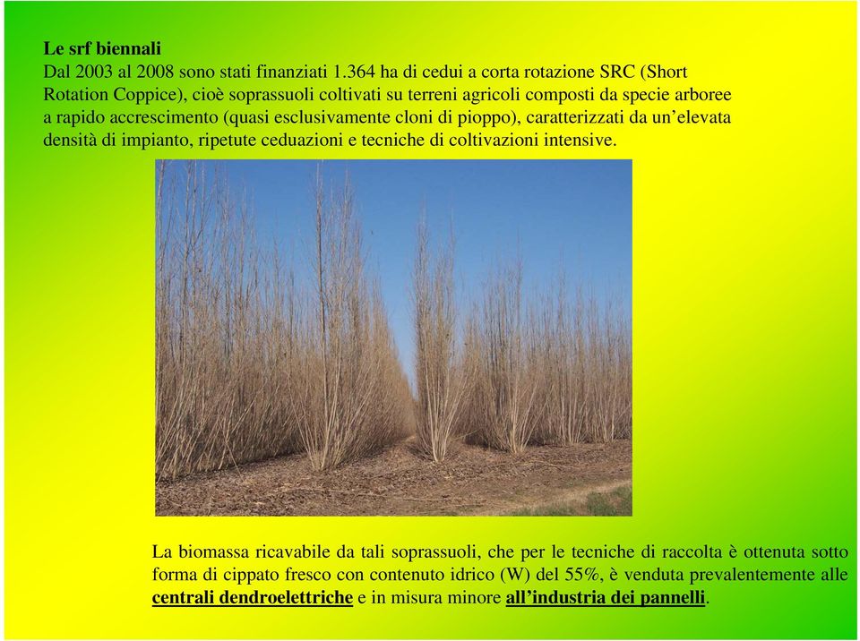 accrescimento (quasi esclusivamente cloni di pioppo), caratterizzati da un elevata densità di impianto, ripetute ceduazioni e tecniche di coltivazioni