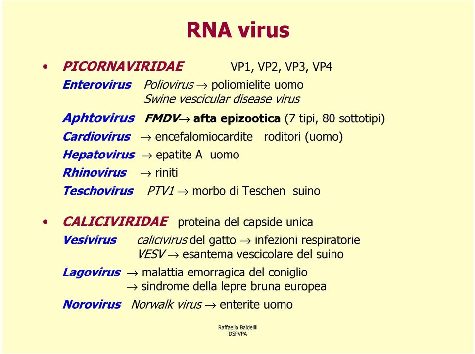 riniti PTV1 morbo di Teschen suino CALICIVIRIDAE proteina del capside unica Vesivirus calicivirus del gatto infezioni respiratorie