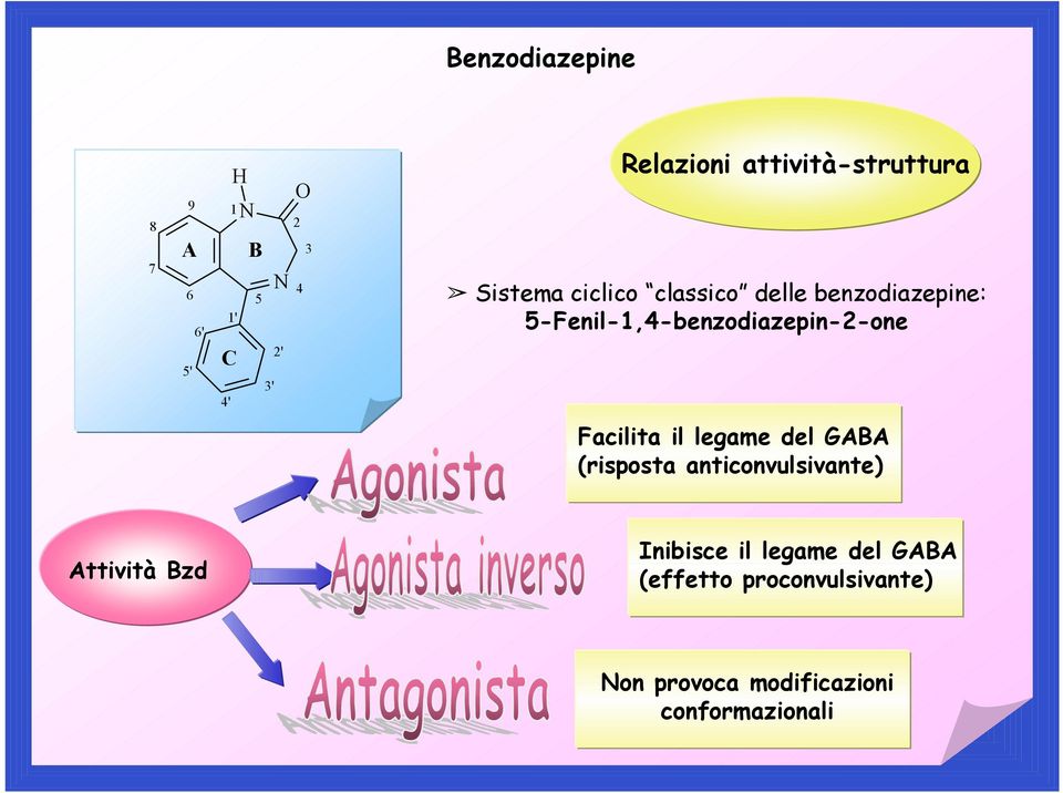 5-Fenil-1,4-benzodiazepin-2-one Facilita il legame del GABA (risposta