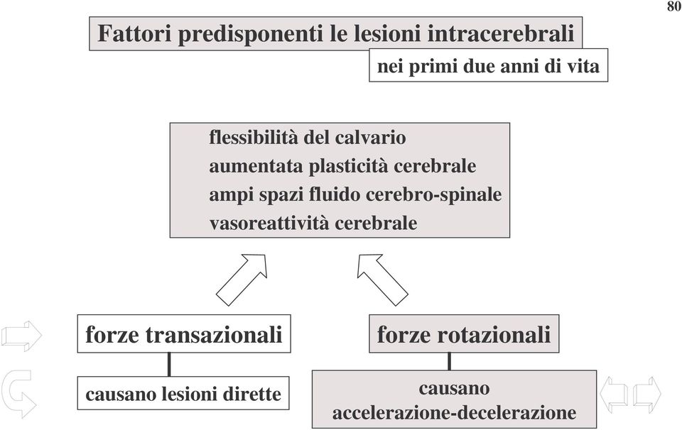 spazi fluido cerebro-spinale vasoreattività cerebrale forze