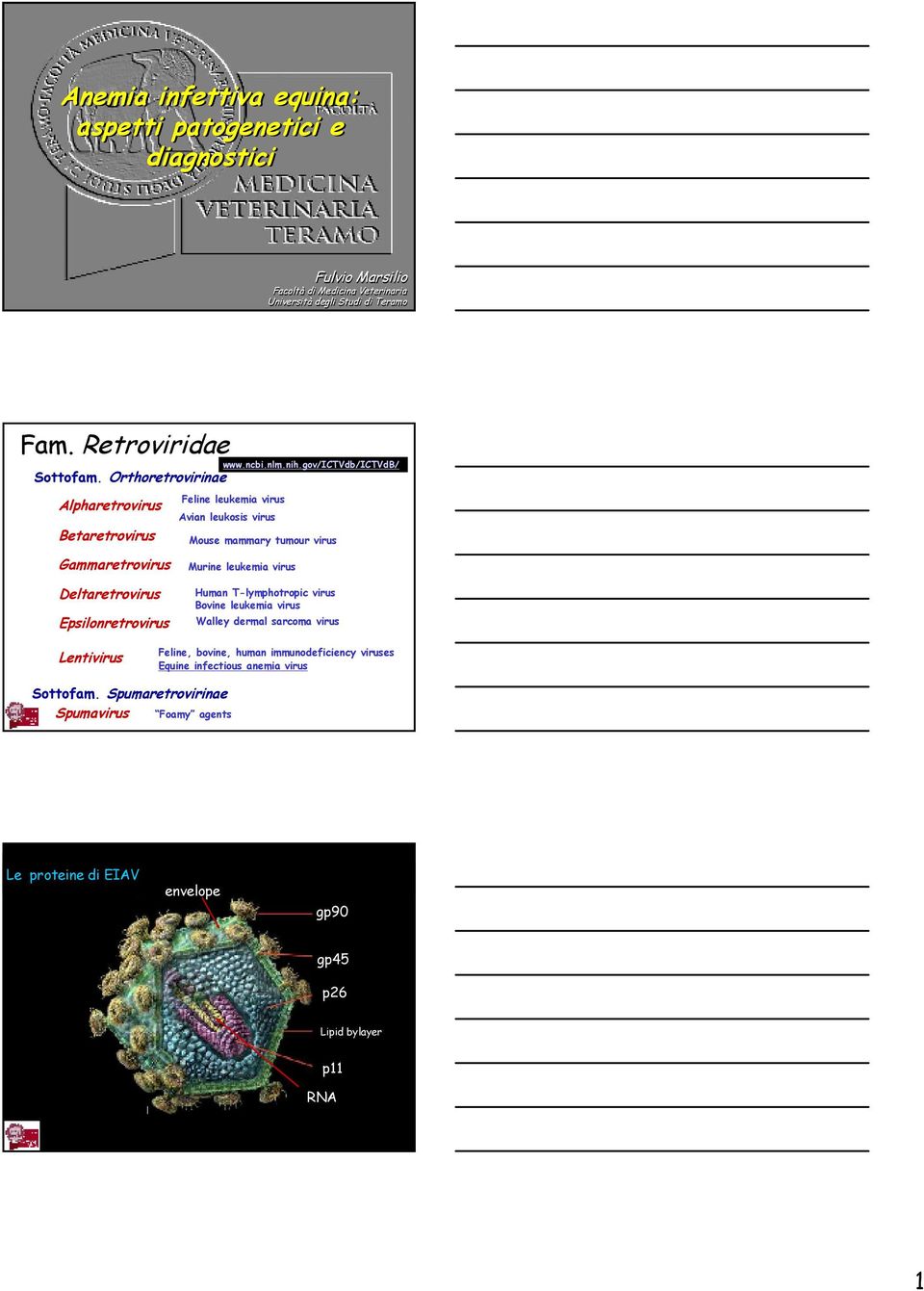 gov/ictvdb/ictvdb/ Feline leukemia virus Avian leukosis virus Mouse mammary tumour virus Murine leukemia virus Deltaretrovirus Epsilonretrovirus Human T-lymphotropic