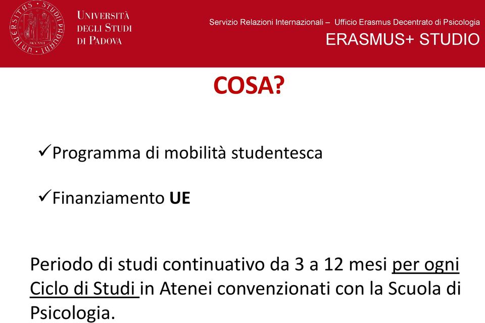 continuativo da 3 a 12 mesi per ogni Ciclo