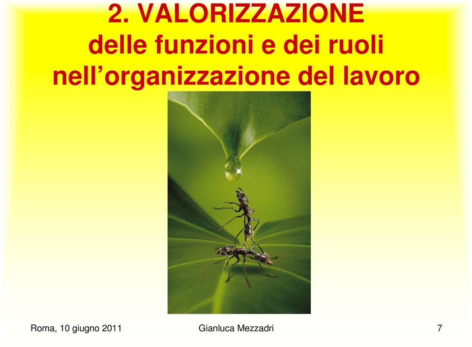 organizzazione del lavoro