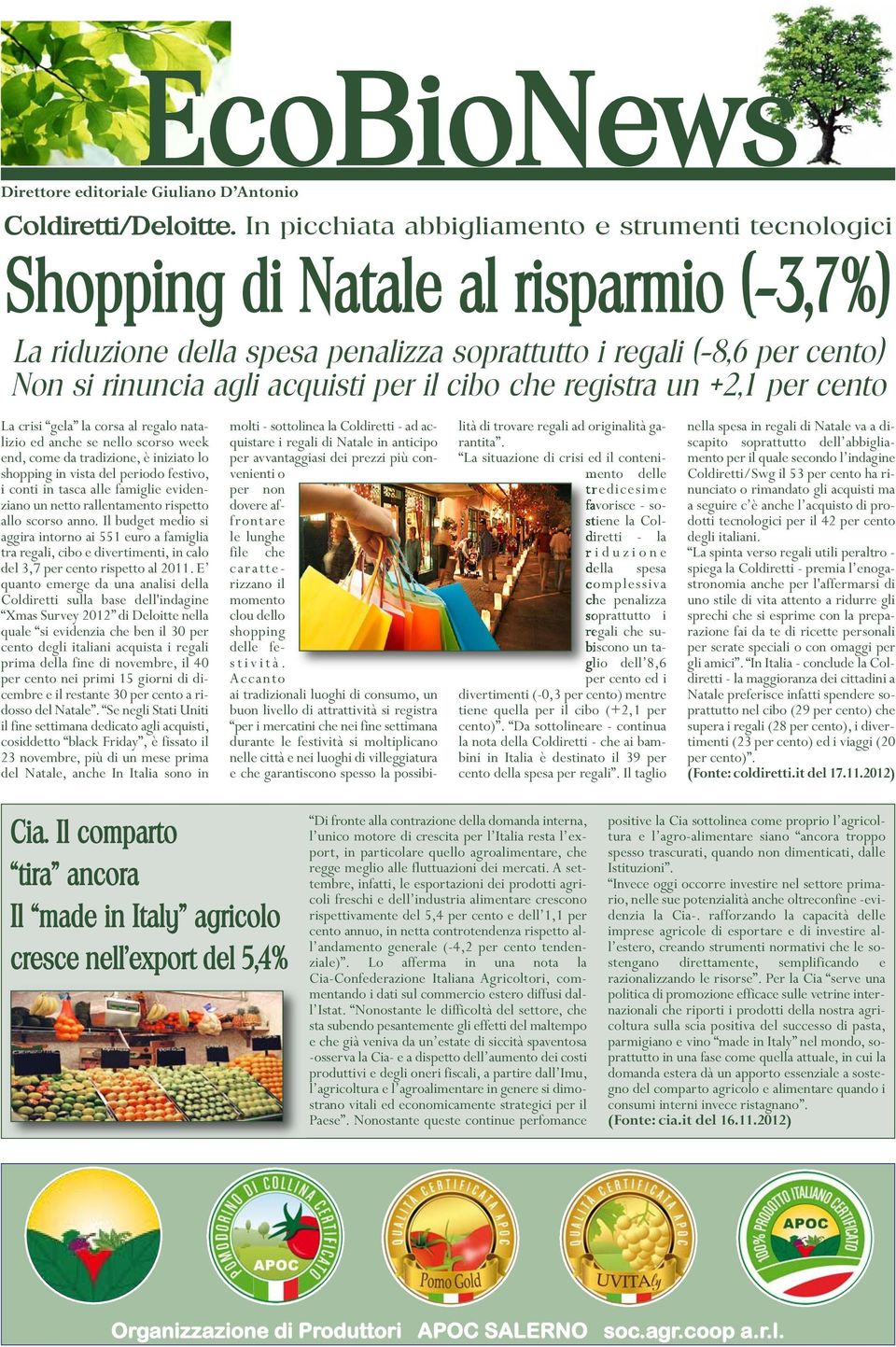 il cibo che registra un +2,1 per cento La crisi gela la corsa al regalo natalizio ed anche se nello scorso week end, come da tradizione, è iniziato lo shopping in vista del periodo festivo, i conti