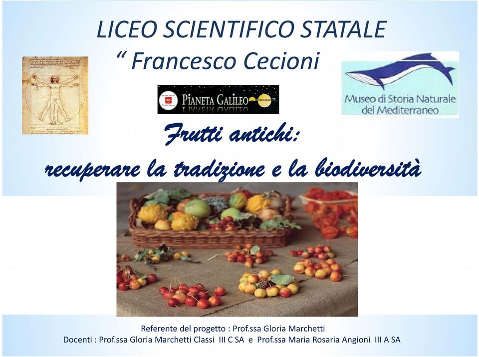 progetto : Prof.ssa Gloria Marchetti Docenti : Prof.