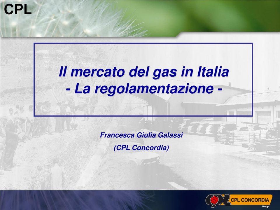 regolamentazione -