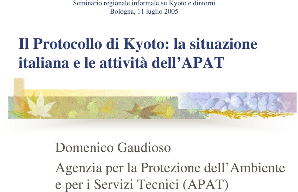 italiana e le attività dell APAT Domenico Gaudioso Agenzia