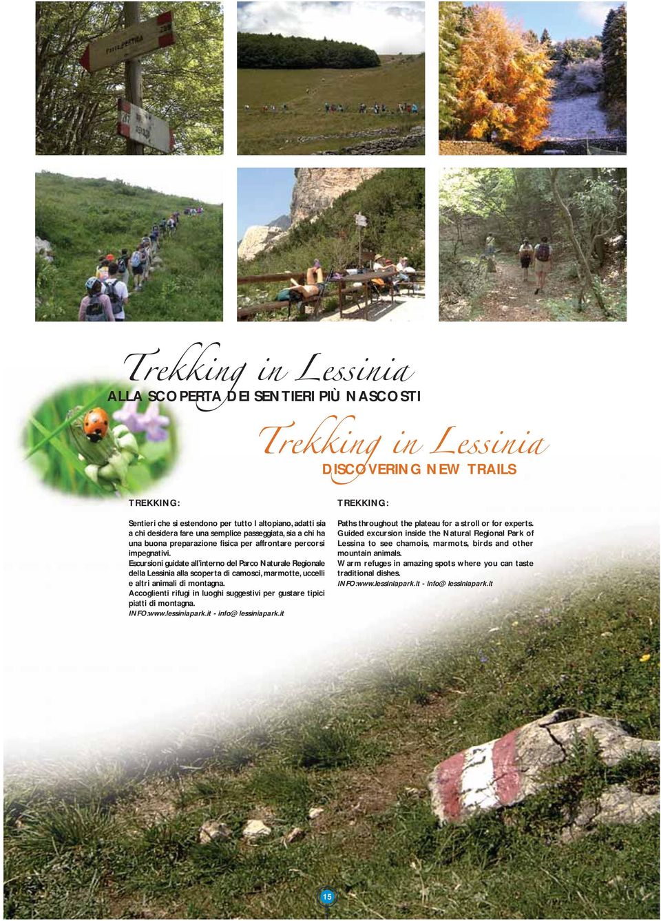 Escursioni guidate all interno del Parco Naturale Regionale della Lessinia alla scoperta di camosci, marmotte, uccelli e altri animali di montagna.
