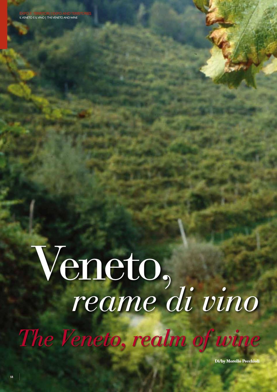 WINE Veneto, reame di vino The